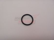 Прокладка канала маслянного насоса кольцо (481H-1002037)