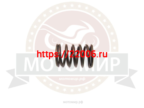 Пружина клапана 2V77F/173F  38мм (14755)