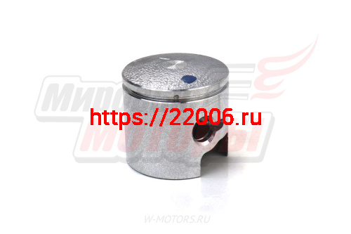 Поршень "Цыганка" 25-12 в сборе. фото 2